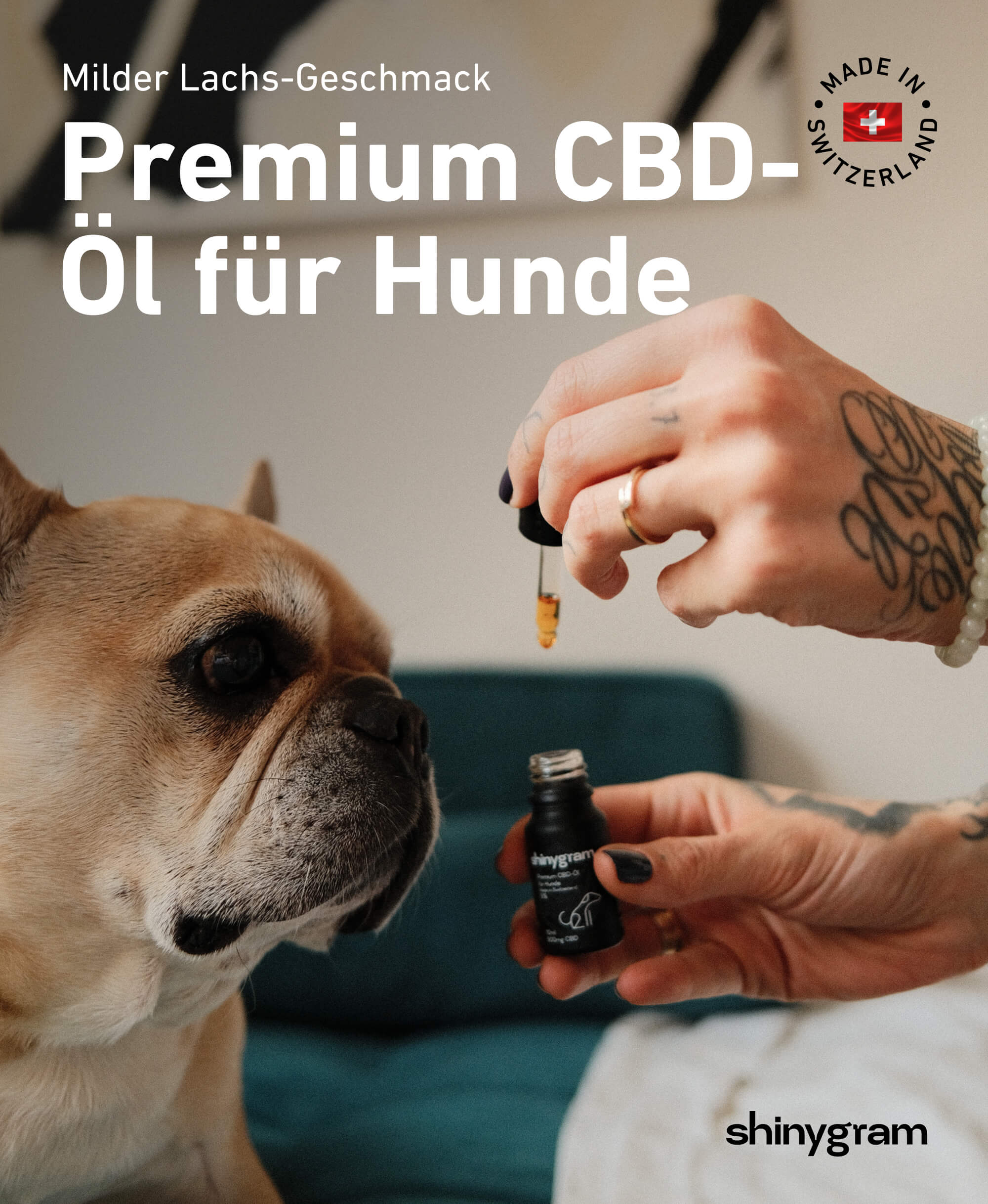 Frau die ihrem Hund CBD Tropfen von Shinygram gibt